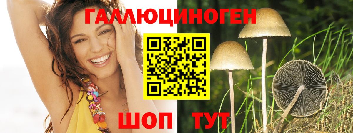 Псилоцибиновые грибы GOLDEN TEACHER Кострома